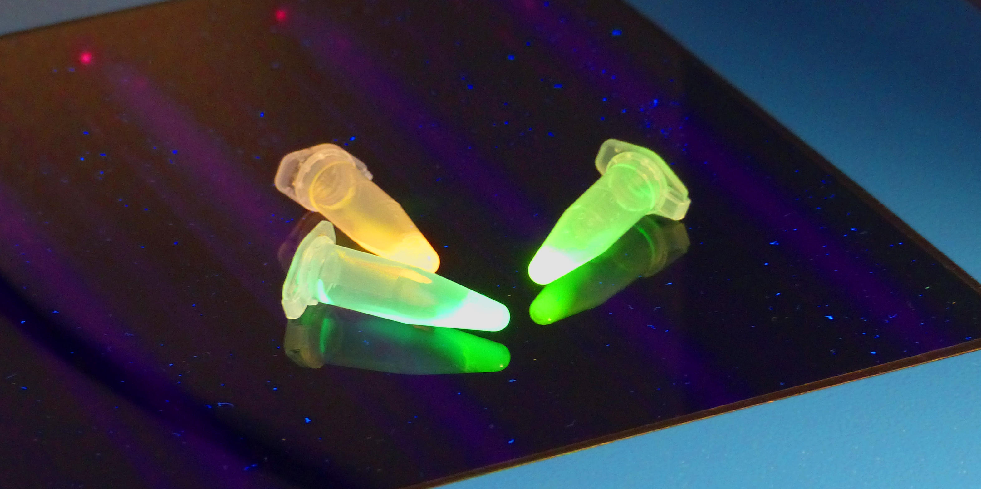 Uv-leuchten