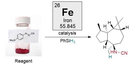 Reaktionsschema